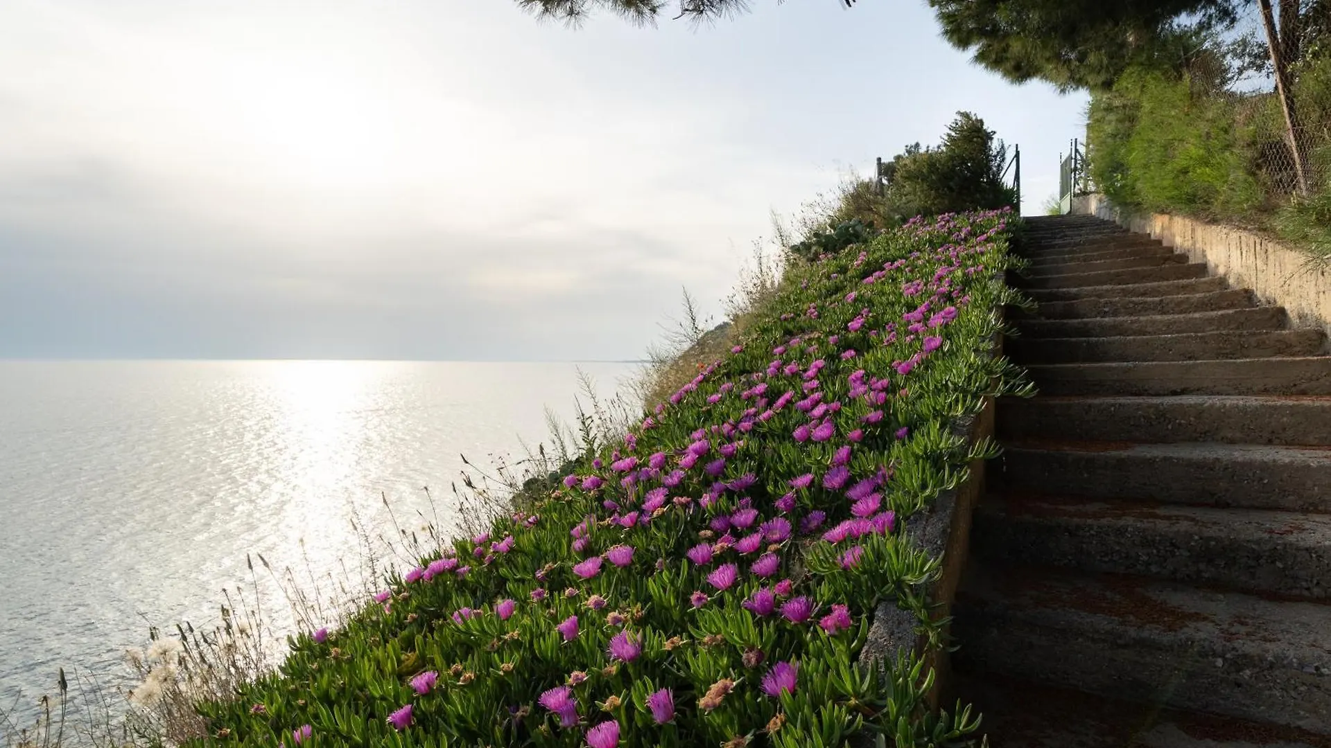 Sunshine House Offering Spectacular Views To Olymp A Apartment Nea Iraklia 0*,  Greece